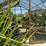 Abrigo Do Moleiro Ribeirão