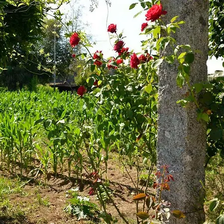 Villa Abrigo Do Moleiro *