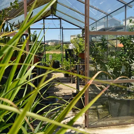 Abrigo Do Moleiro Ribeirão