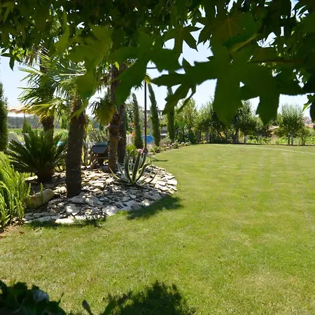 Abrigo Do Moleiro ヴィラ Ribeirão