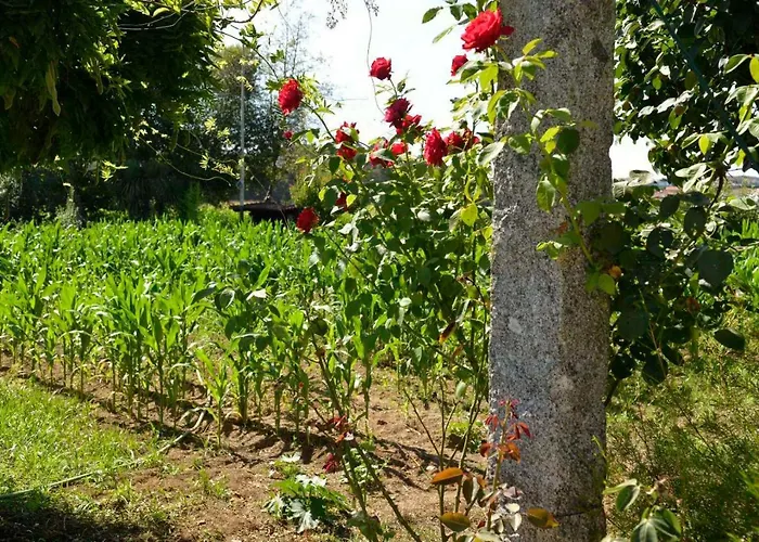 빌라 Abrigo Do Moleiro *