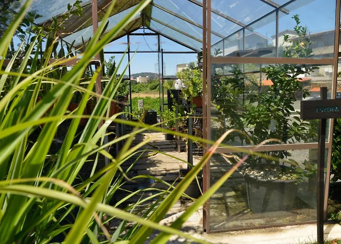 Abrigo Do Moleiro Ribeirão